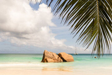 A tranquil tropical beach scene with palm fronds overhead