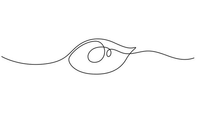 Video. Continuous one line drawing of human eye animation. Full length single line art 4k animation, Animation of a single line drawing of an eye. Continuous contour movement of an eye. self-drawing.