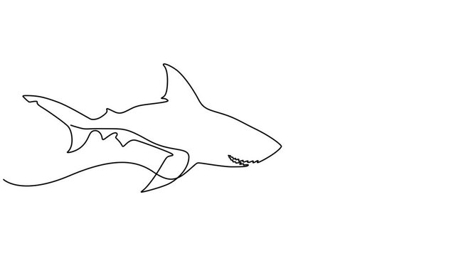 Animation of one line drawing of ruler of the sea, shark for company logo. Dangerous sea fish concept, Full length motion, Self drawing simple animation of continuous one line drawing of Hammerhead.