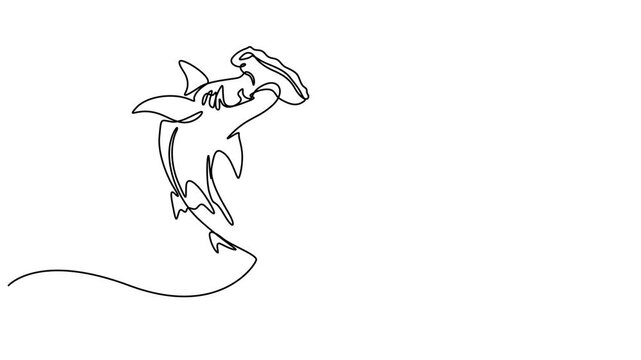 Animation of one line drawing of ruler of the sea, shark for company logo. Dangerous sea fish concept, Full length motion, Self drawing simple animation of continuous one line drawing of Hammerhead.