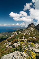 Isola d'Elba mountain scenery with blooming flowers in spring, Tuscany, Italy