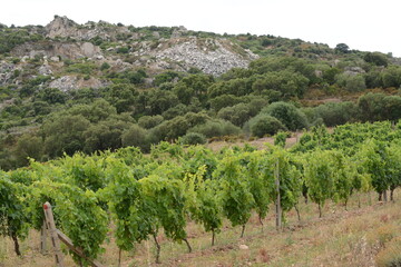 Stazzi di Gallura, Sardegna 