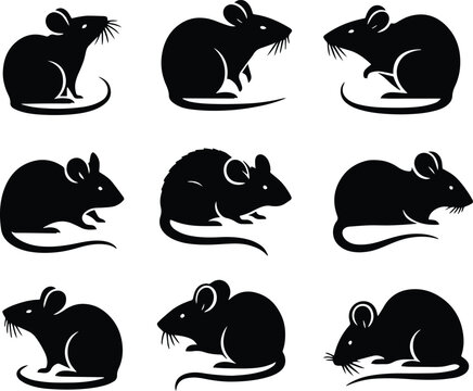 set of rat animals silhouettes
