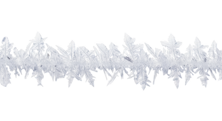 Close up macro view of delicate white ice crystals forming a decorative border against a black background