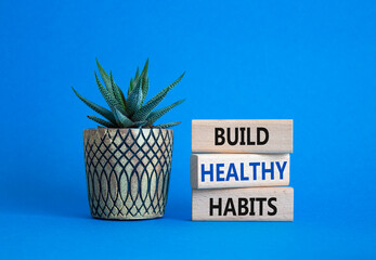 Healthy habits symbol. Concept word Build Healthy habits on wooden blocks with succulent. Beautiful blue background. Healthy lifestyle and Healthy habits concept. Copy space