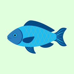 vector illustration of a tilapia