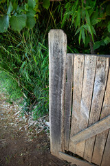 The bamboo garden in open