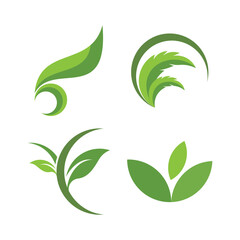 Green leaf logo design