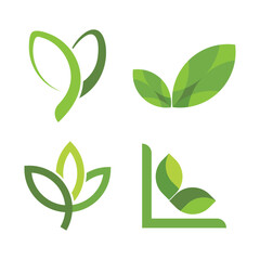 Green leaf logo design