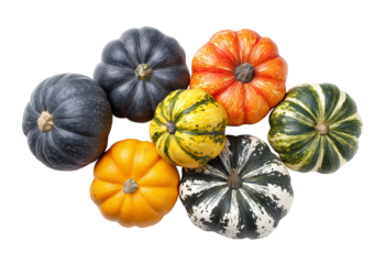 Assortment of colorful gourds and pumpkins with varied shapes and patterns isolated on a transparent background