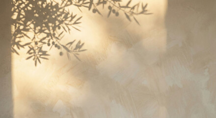 Beige limewash wall texture with soft olive branch shadow