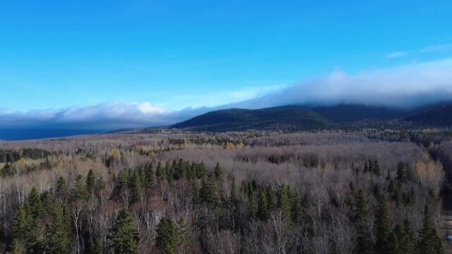 Aerial view of a mixed forest, bare of leaves in autumn, towards an Appalachian mountain range capped with clouds under a blue sky. Matapedia Valley, Quebec, Canada, 2025.