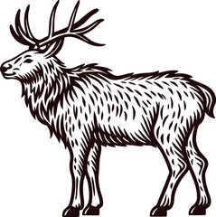 Vintage engraved illustration of a standing elk with detailed antlers and fur in black and white sketch