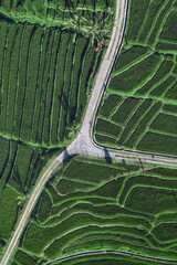 Aerial Drone View Of Rice Terraces At Crossroads, Winding Road Slicing Vibrant Green Paddies, Layered Contours