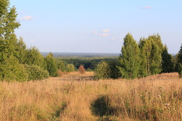 fields and forests of northeastern Europe on a sunny day in late summer