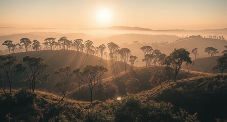 A scenic view of rolling hills covered in trees during a hazy golden sunrise time