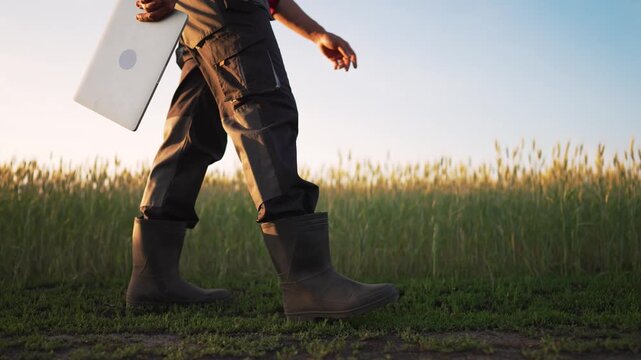 Walking with laptop through wheat field at sunset, person in rubber boot and cargo pant strides across grass, handheld computer evokes remote work farm technology and outdoor mobility professional