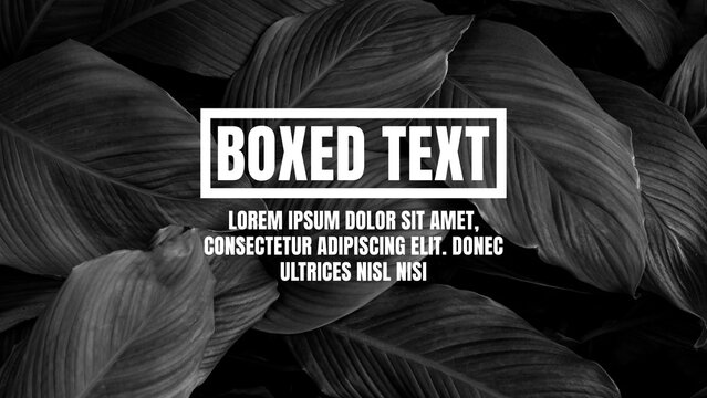 Boxed Motion Text
