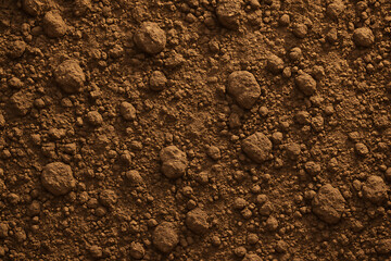 Close-up of dry, cracked earth with small boulders and pebbles