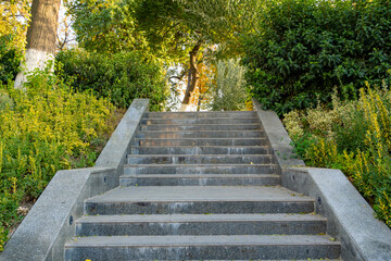 Concrete Staircase Surrounded by Greenery