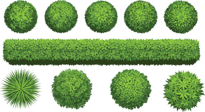Green garden bushes and hedges top view set with round shrubs plants foliage elements for landscape design illustration