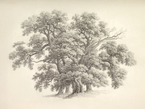 Vintage Oak Tree Landscape Print