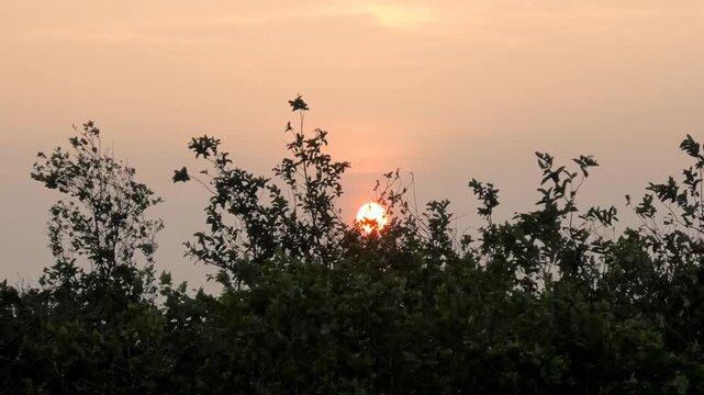 Sunset view from the hilly Parunthumpara, Idukki, Kerala, India