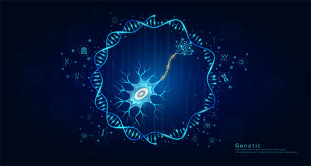 Genetic science medical. Organ nerve cell hologram transparent inside the DNA RNA surrounded by chromosome nucleus cell icons on dark blue background. Banner vector.