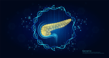 Genetic science medical. Organ pancreas hologram transparent inside the DNA RNA surrounded by chromosome nucleus cell icons on dark blue background. Banner vector.