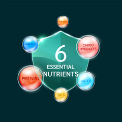 Glass shield six essential nutrients modern. Surrounded by Carbohydrates Proteins Fats Vitamins Minerals and Water. Used for design dietary supplement products. Vector.