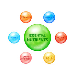 Six essential nutrients to the body. Carbohydrates Proteins Fats Vitamins Minerals and Water. Vector EPS10.