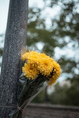 Yellow flowers in clear vase