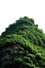 Verdant mountain peak covered in dense green foliage