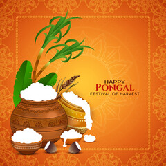 Happy Pongal Indian festival greeting card