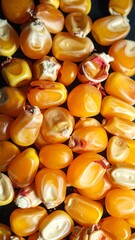 Pile of dried, yellow corn kernels showing some reddish germ detail against a dark background, close up, overhead shot