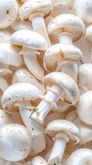 Pile of fresh, white button mushrooms with visible gills & stems, creating a pleasing textured food close-up