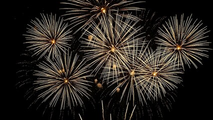 Fototapeta premium Fireworks explosion in the night sky with multiple bursts and vibrant colors