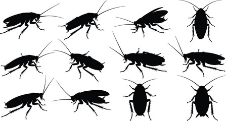 Cockroach silhouettes, insect vector icons, black pest graphics, entomology clipart, top and side views, bug anatomy, silhouette set, pest control, insect poses, biology illustration © MdRaju
