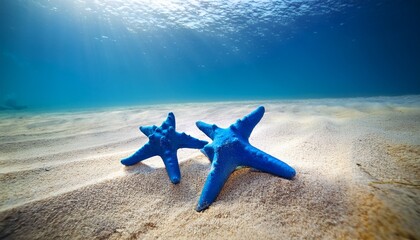 A Pair Of Exotic Blue Starfish Relaxing On A Tranquil Sandy Seabed In The Sunlight