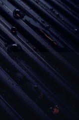 Skiers racing down slope at night illuminated by lights