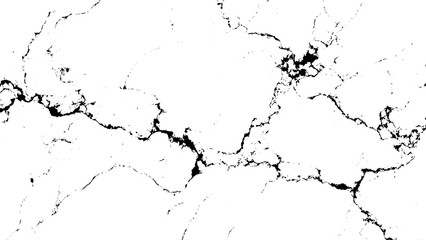 black and white marble texture with cracks and veins