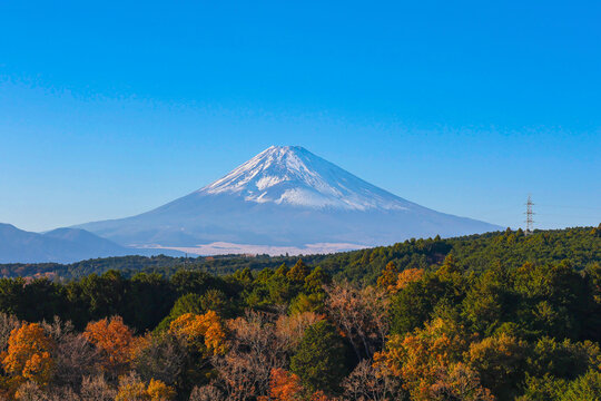 The view of Mount Fuji in autumn is colorful.