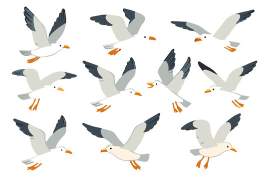 Set of 9 cartoon-style seagull vector illustrations in various flying poses, ideal for coastal themes, bird studies, educational materials, and nature-inspired decorative design projects.