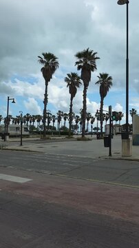  Valencia, Spain - 29 April 2025 - pan shot of palm-lined beachfront at Playa de la Malvarrosa in Valencia, Spain. Capturing coastal city vibes, Malvarrosa Seafront 