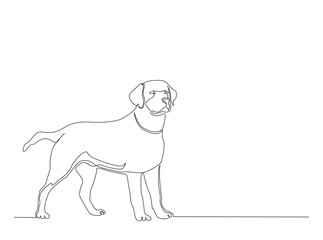 Fototapeta premium Single Continuous Line Drawing of adorable labrador retriever dog. Domestic Animal.