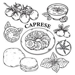 Hand drawn Caprese salad and ingredients outline drawing illustration