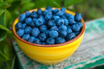 Blueberry harvest in the garden. Selective focus.
