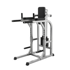Silver metal dip station with black padded armrests and back support gym equipment fitness machine
