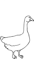 Vector line illustration of a goose isolated on a white background.