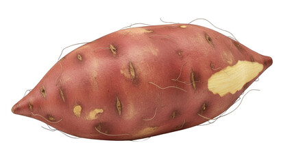 Single Red Sweet Potato with Visible Skin Damage and Hairs on Black Background root vegetable tuber